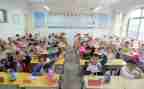 小学感恩演讲稿精选8篇