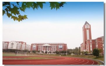 校园周工作总结参考5篇