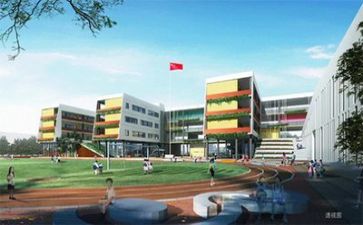 校园周工作总结精选7篇