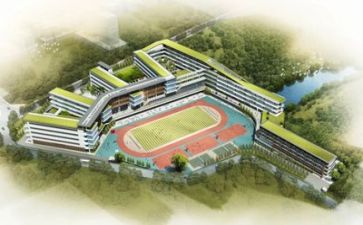 活动进校园活动总结参考8篇