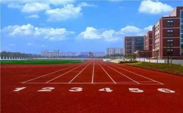 校园作文400字优质8篇