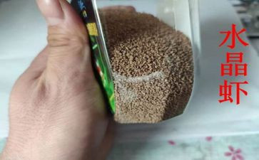 虾饲料工作总结通用8篇