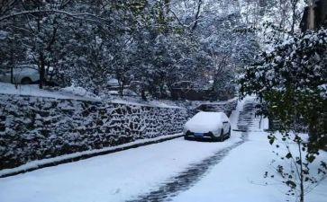 《下雪》的作文参考8篇