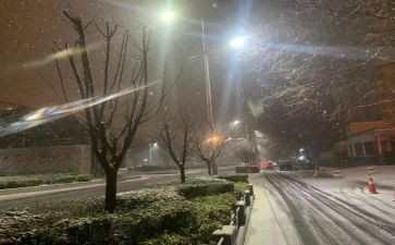 《下雪》的作文推荐8篇