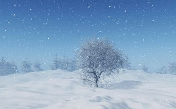 下雪的作文优质5篇