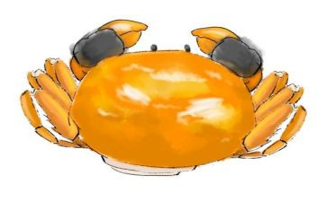 看螃蟹作文模板6篇