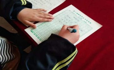 写字课活动总结5篇