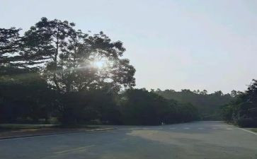 新的开始上演讲稿5篇