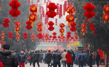 闹新年教案优秀6篇