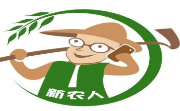 乡镇新农合工作总结优秀6篇