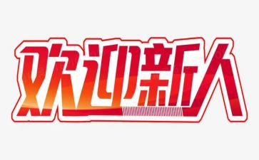 新人到公司年工作总结8篇