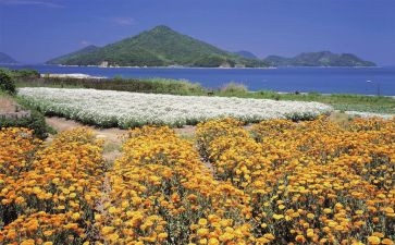 作文欣赏作文精选8篇