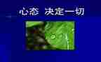 感恩心态的演讲稿6篇