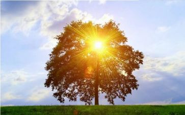 写信心的作文600字模板5篇