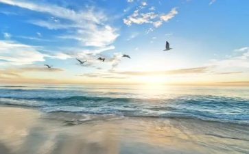 写信心的作文最新7篇