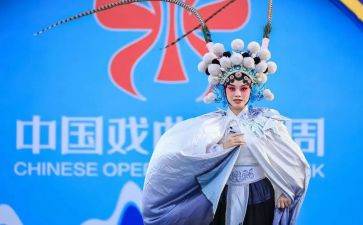 戏曲进校园活动方案7篇