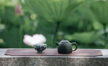修养话题作文5篇