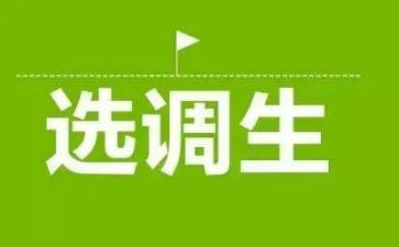 选调生个人工作总结5篇