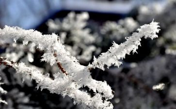 街道除雪工作总结通用5篇