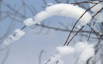 观看雪的作文推荐6篇