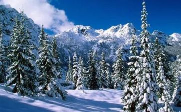 环卫除雪工作计划5篇