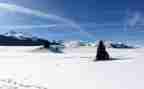 单位除雪工作总结模板5篇