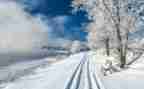 我想看关于雪的作文模板7篇
