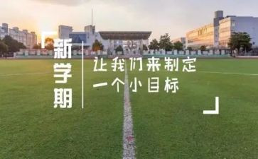 学期工作总结小学总结精选6篇
