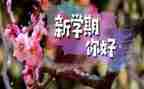 一学期培训心得体会模板7篇