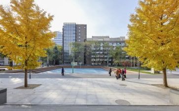 教师对学校心得体会8篇