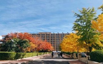 教师对学校心得体会最新6篇