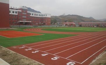 学校财务年度述职报告6篇