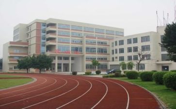 学校个人培训总结范文8篇