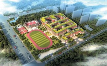 学校述职报告范文最新7篇