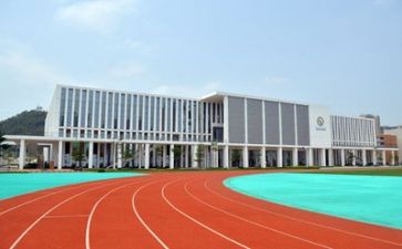 学校述职报告范文模板8篇
