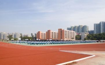 学校期中工作总结5篇