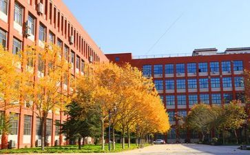 学校新教师培训心得体会范文6篇
