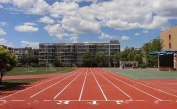 学校长述职报告参考5篇