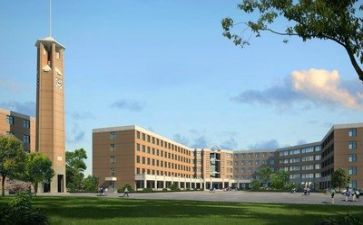 学校调研报告的模板5篇