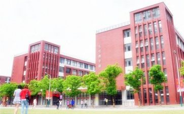 学校个人述职报告范文5篇