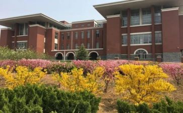 学校个人总结年度个人总结通用8篇