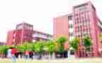 学校出纳工作总结报告8篇
