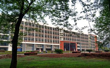 学院半年工作总结8篇