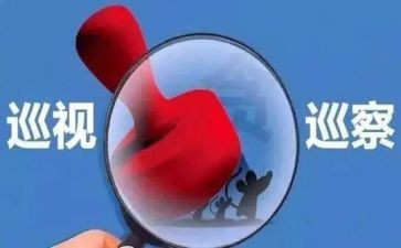 县巡察工作个人工作总结8篇