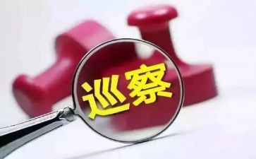 局巡察工作计划7篇