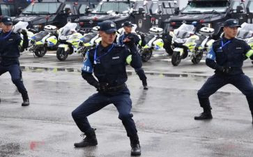 特巡警周工作总结6篇