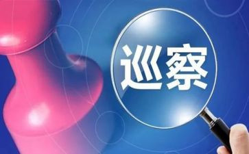 巡视工作个人总结5篇