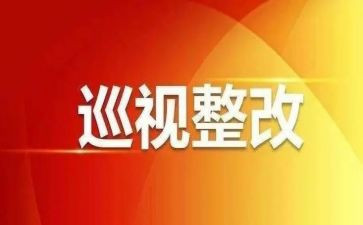 巡视工作心得体会8篇