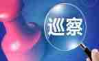 巡视工作个人总结5篇