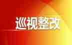 巡视工作心得体会8篇